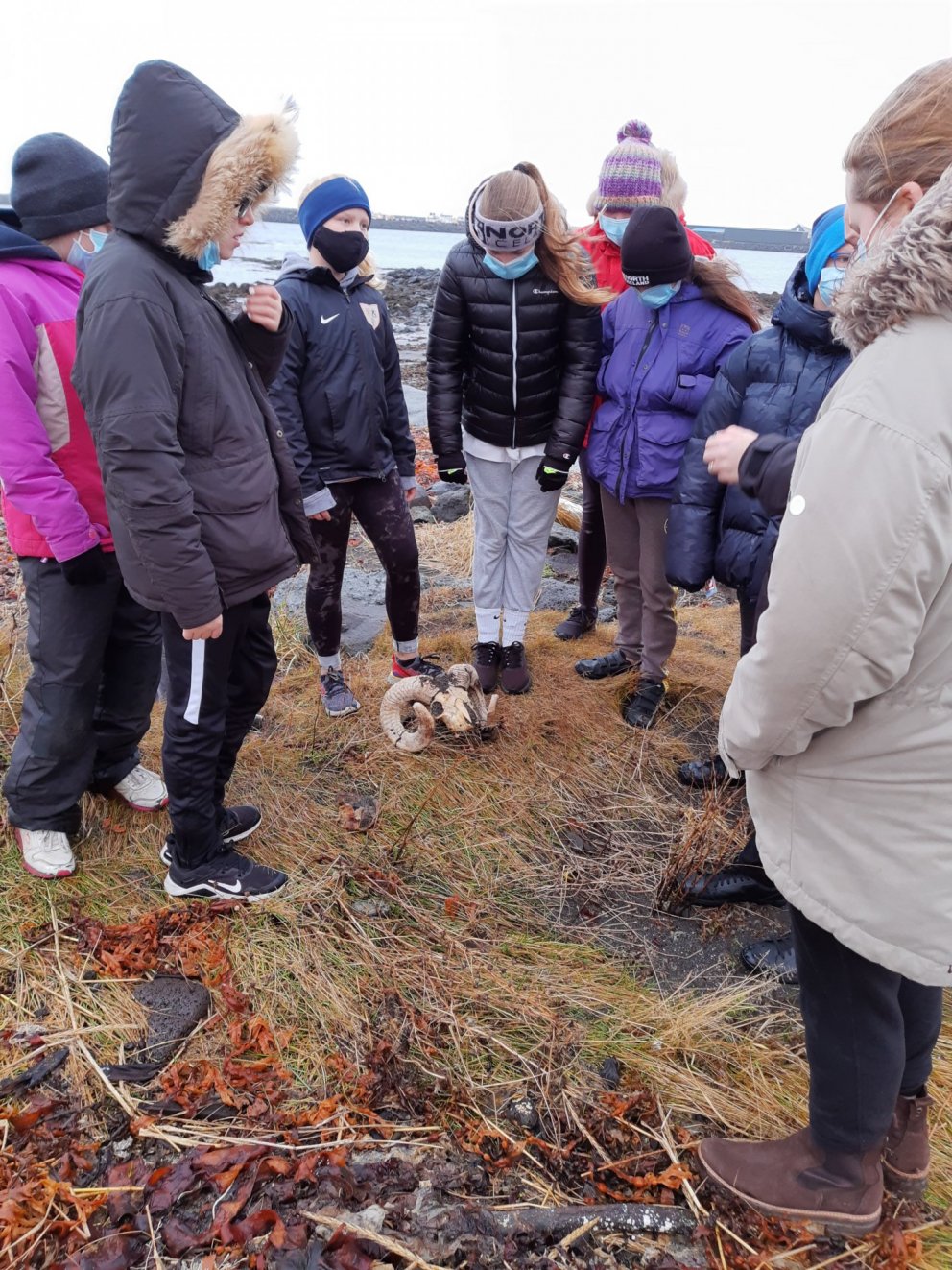 Göngutúr í fjöruna hjá 7. bekk