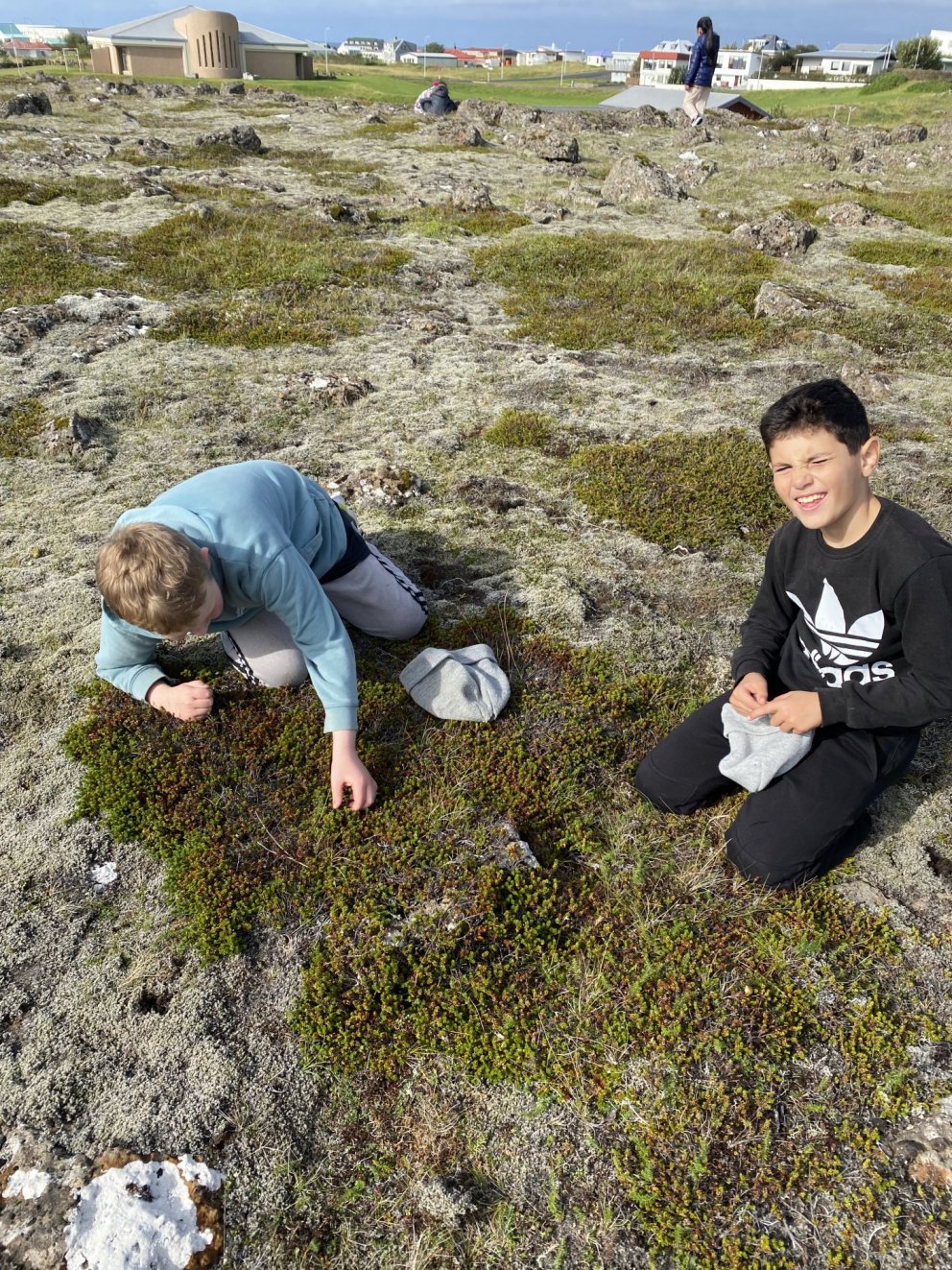 Kónguló, kónguló vísaðu mér á berjamó