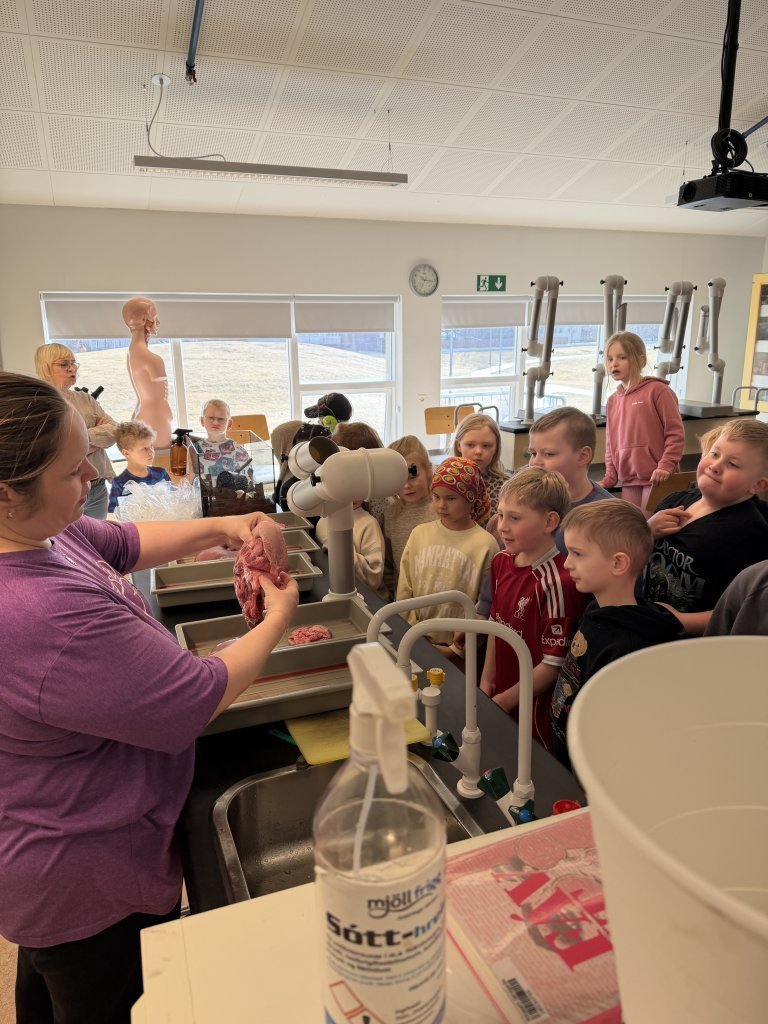 Fróðleiksfúsir nemendur