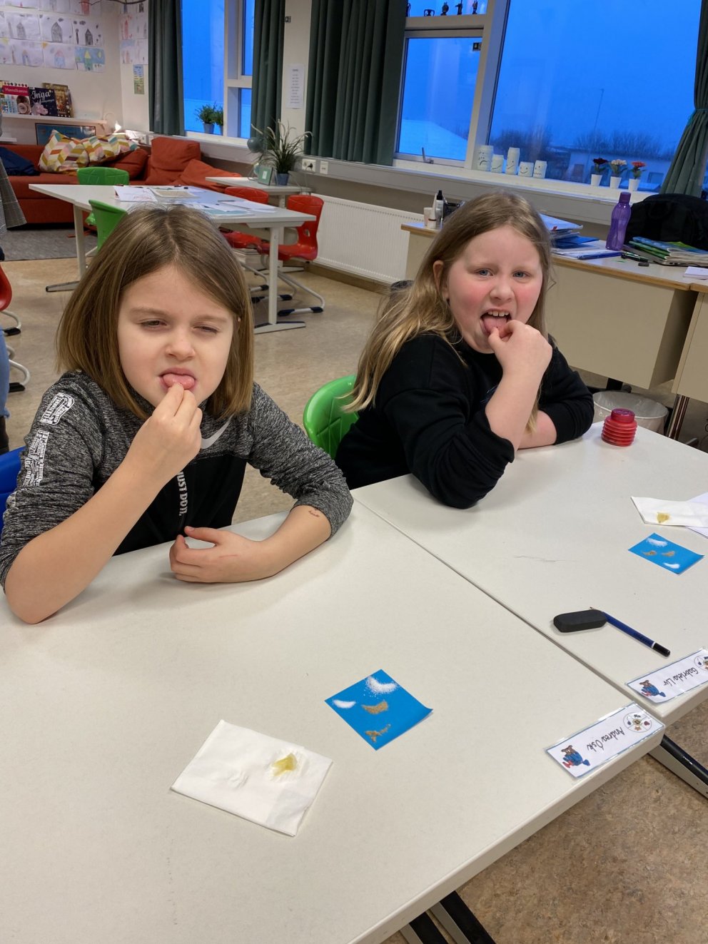 Tilraun á lyktar-og bragðskyni