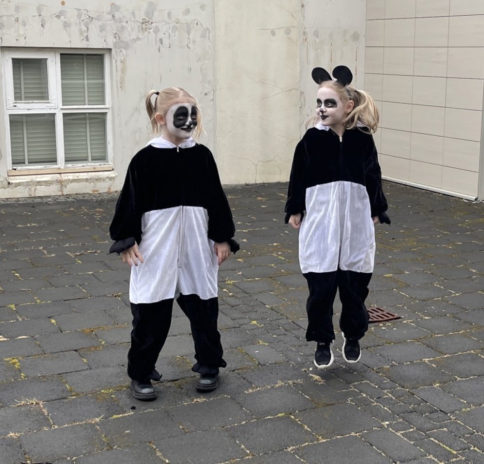 Öskudagur 14. febrúar - skertur nemendadagur