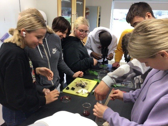 Sveppa- og gróðurfræðingar