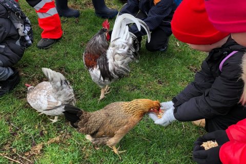 Vorferð í Húsdýragarðinn og Sólbrekkuskóg.