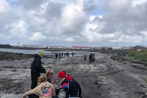 Skemmtileg fjöruferð hjá 6. bekk