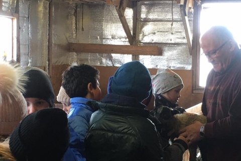 Ferð í fjárhúsið