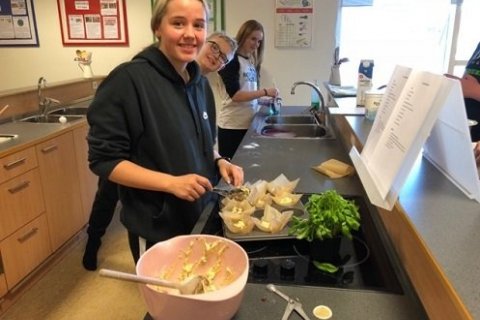 Heilsuvika í heimilisfræði