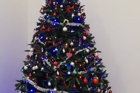 Jólatréð í stofu stendur