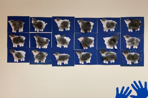 Íslenska sauðkindin