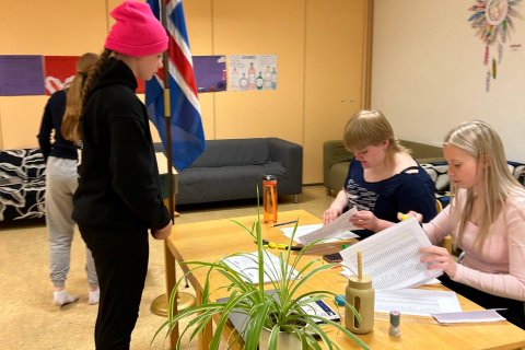 Krakkakosningar 2024