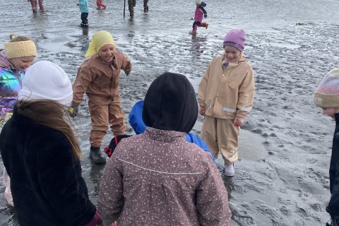 Fjöruferð - Samstarf grunn- og leikskóla