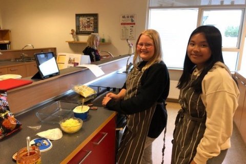 Verkval í heimilisfræði