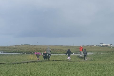 Margt skemmtilegt um að vera í 5. bekk.