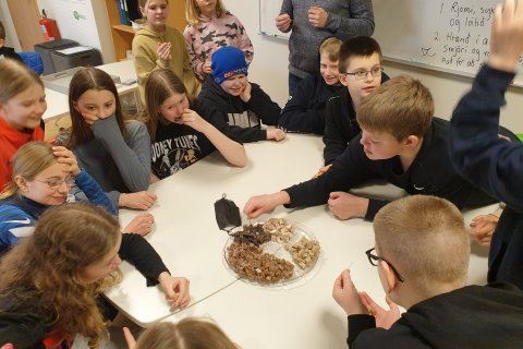 Lífið í gamla daga