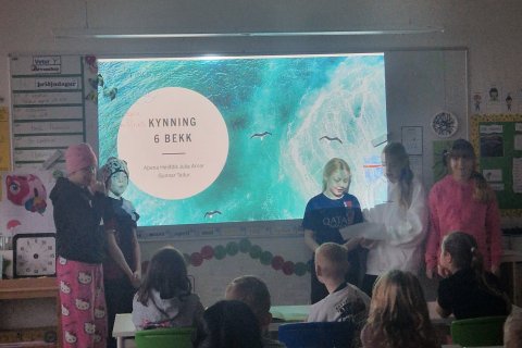 Fræðsla um mikilvægi hjálmanotkunar