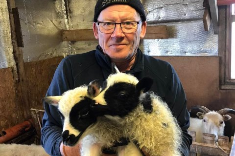 Vettvangsferð  í fjárhúsið