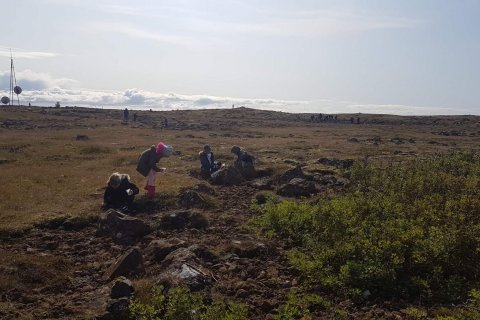 2. bekkur í berjamó