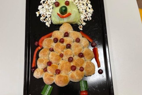 Heilsuvika í heimilisfræði