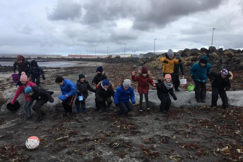 Vettvangsferð í fjöruna