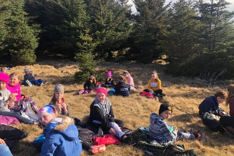 Heimsókn í týnda skóginn