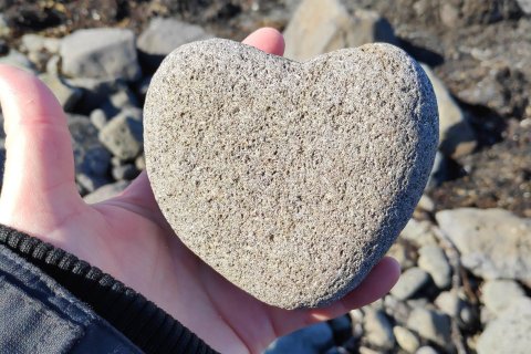 Vettvangsferð í veðurblíðunni