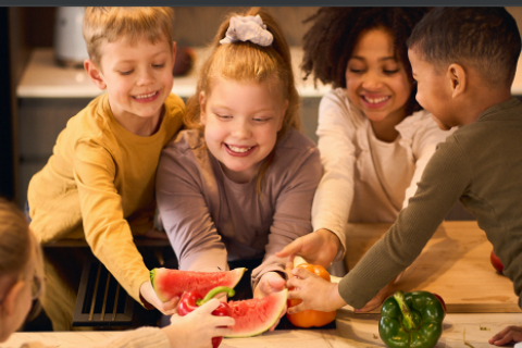 Mataráskrift skólaárið 2024-2025