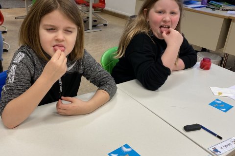 Tilraun á lyktar-og bragðskyni