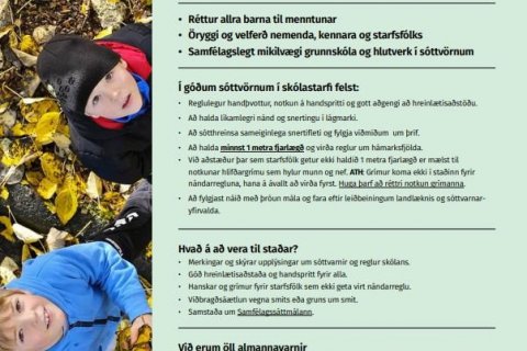 Kórónuveiran – upplýsingar