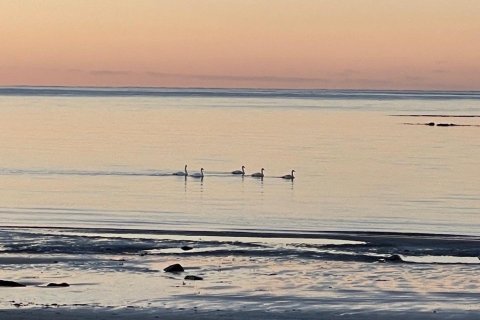 Ljósmynd, Bylgja Baldursdóttir