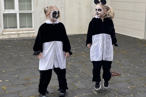 Öskudagur 14. febrúar - skertur nemendadagur