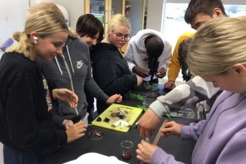 Sveppa- og gróðurfræðingar