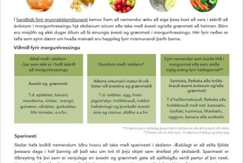 Hressing og hádegismatur