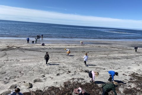 Sumardagurinn fyrsti